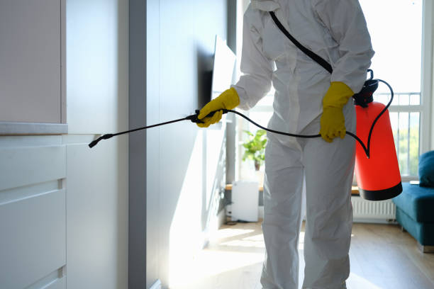 Best Mold Remediation Services  in Redmond, WA