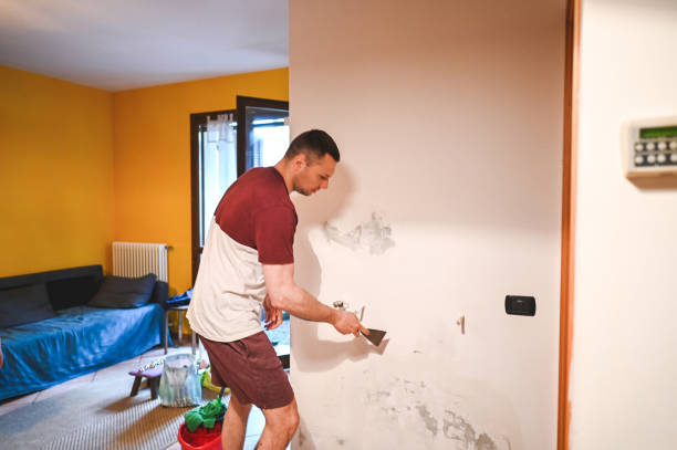 Best Mold Inspection  in Redmond, WA
